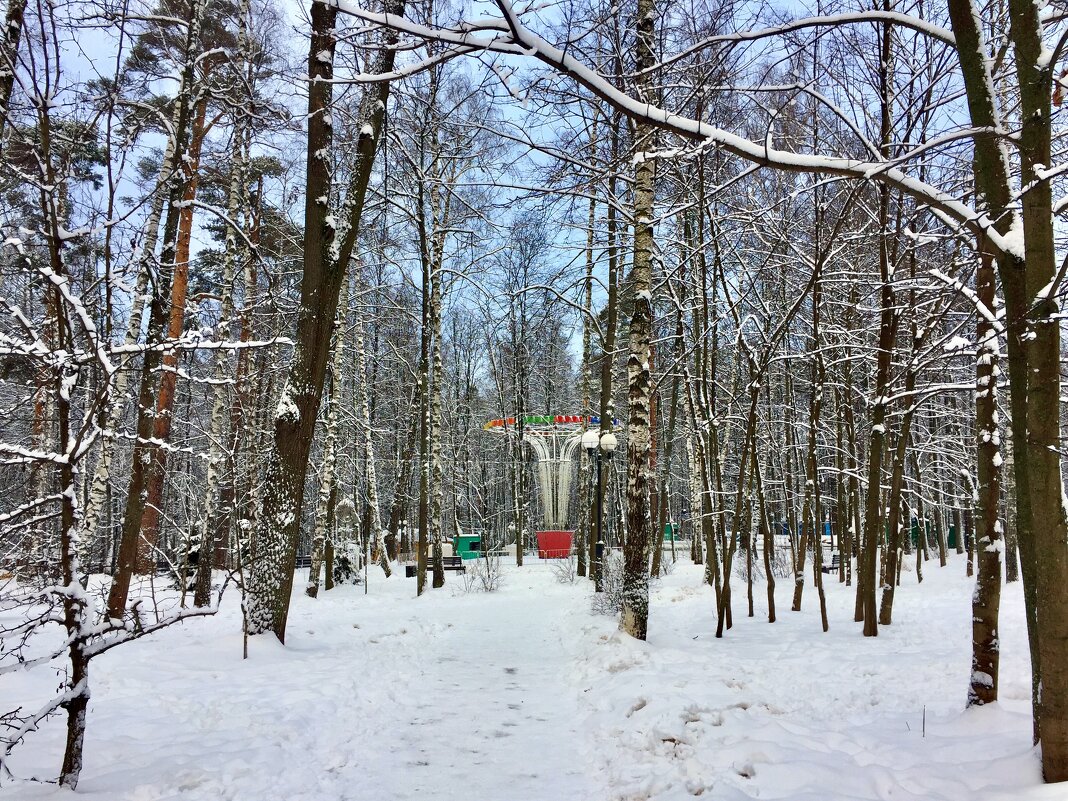 Зимний парк. - tatiana 