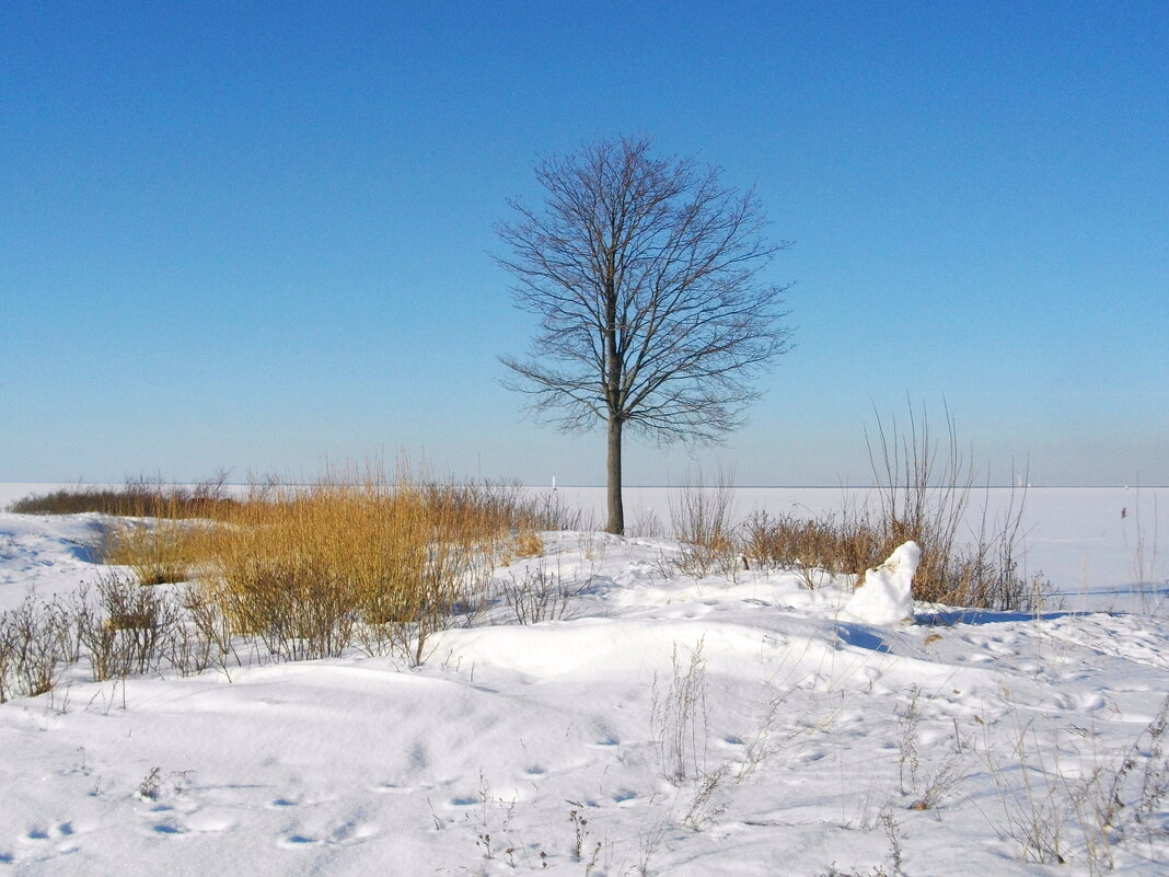 И весна бывает такой... - Лия ☼