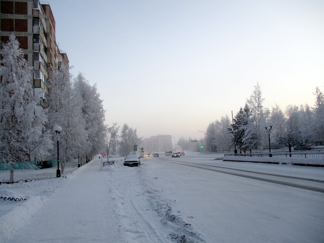 Утро туманное, утро седое (-37*С) - Наталья Пендюк Пендюк