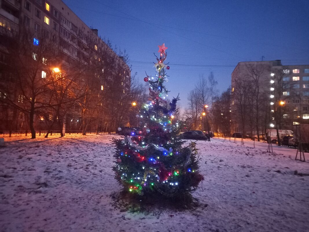 Вечер - Сапсан Вечер - Сапсан