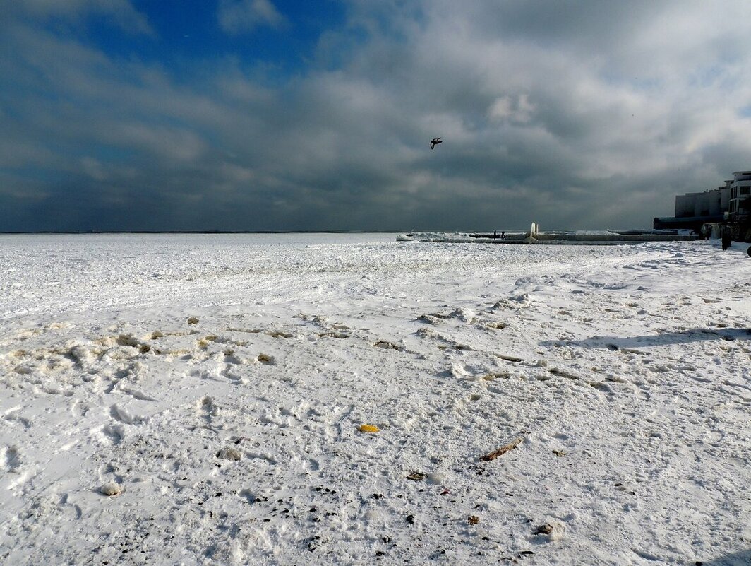 Одесса. Море замерзло. 31.01.2014 - Юрий Тихонов