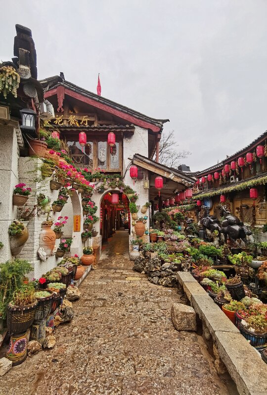 Старый город в Лицзяне, Юньнань, Китай - Дмитрий 