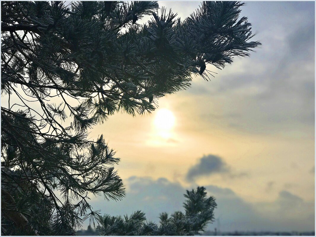 Зимнее небо. - Валерия Комова Зимнее небо. - Валерия Комова