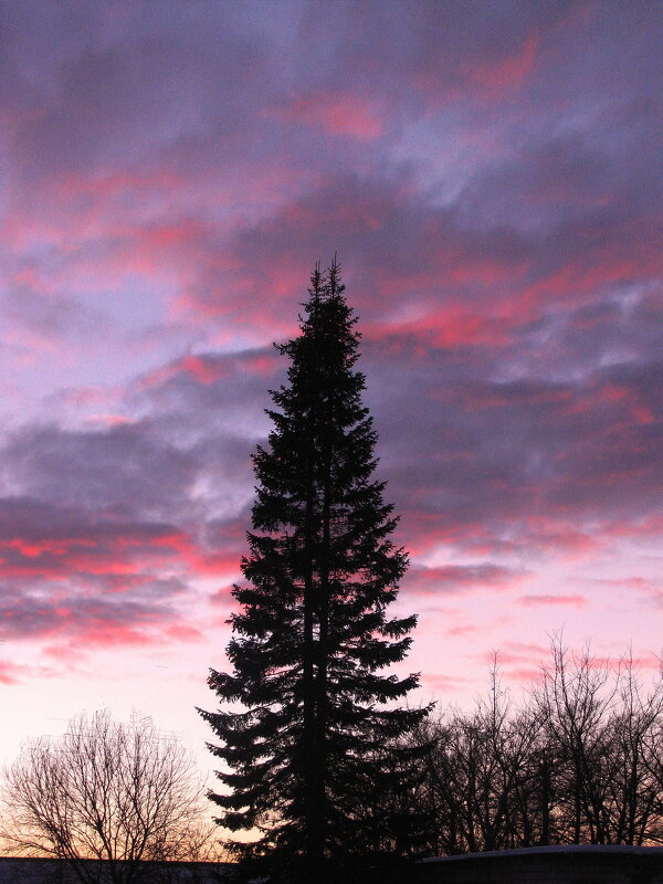 Февральский вечер - Людмила Смородинская