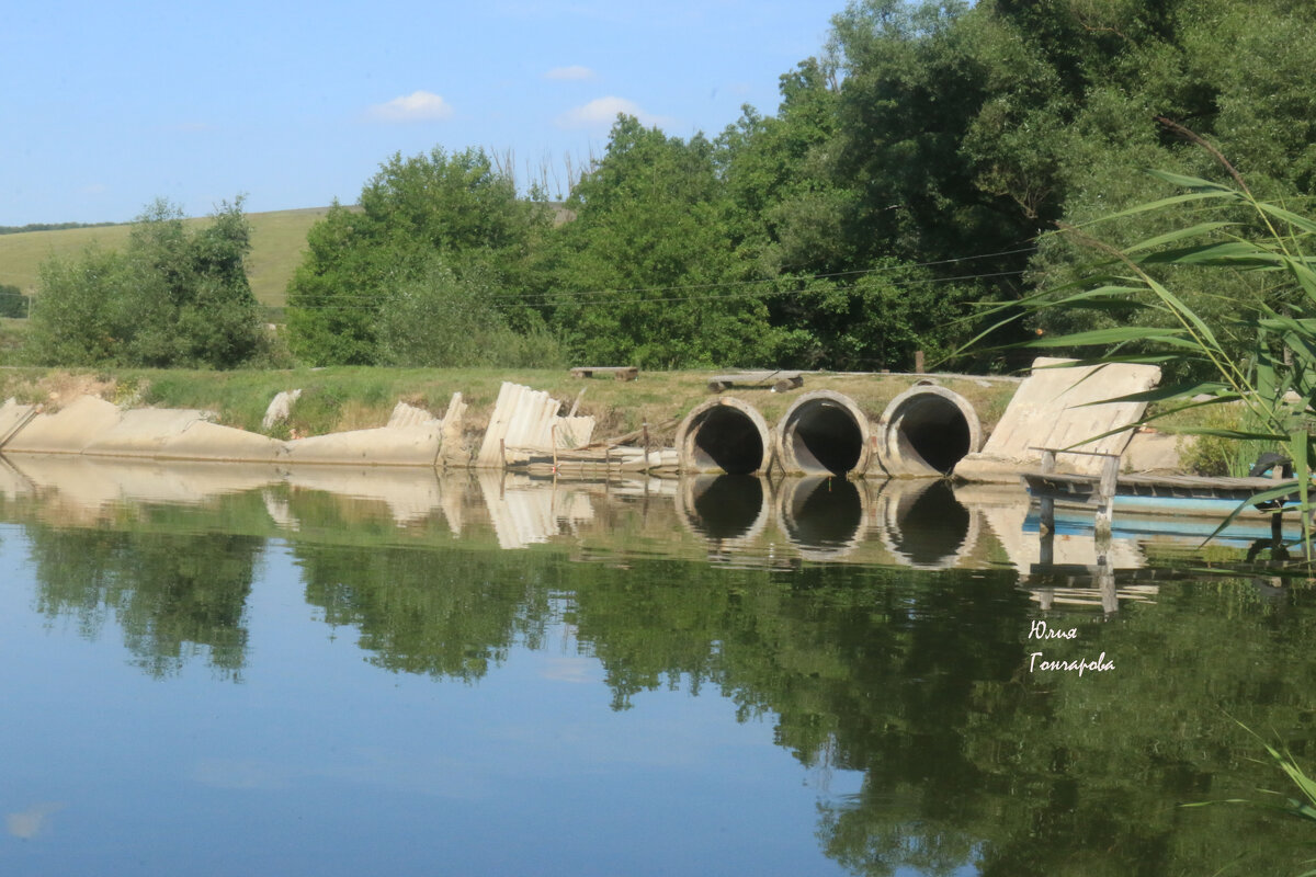 Воронежская область - Юлия Воронежская область - Юлия