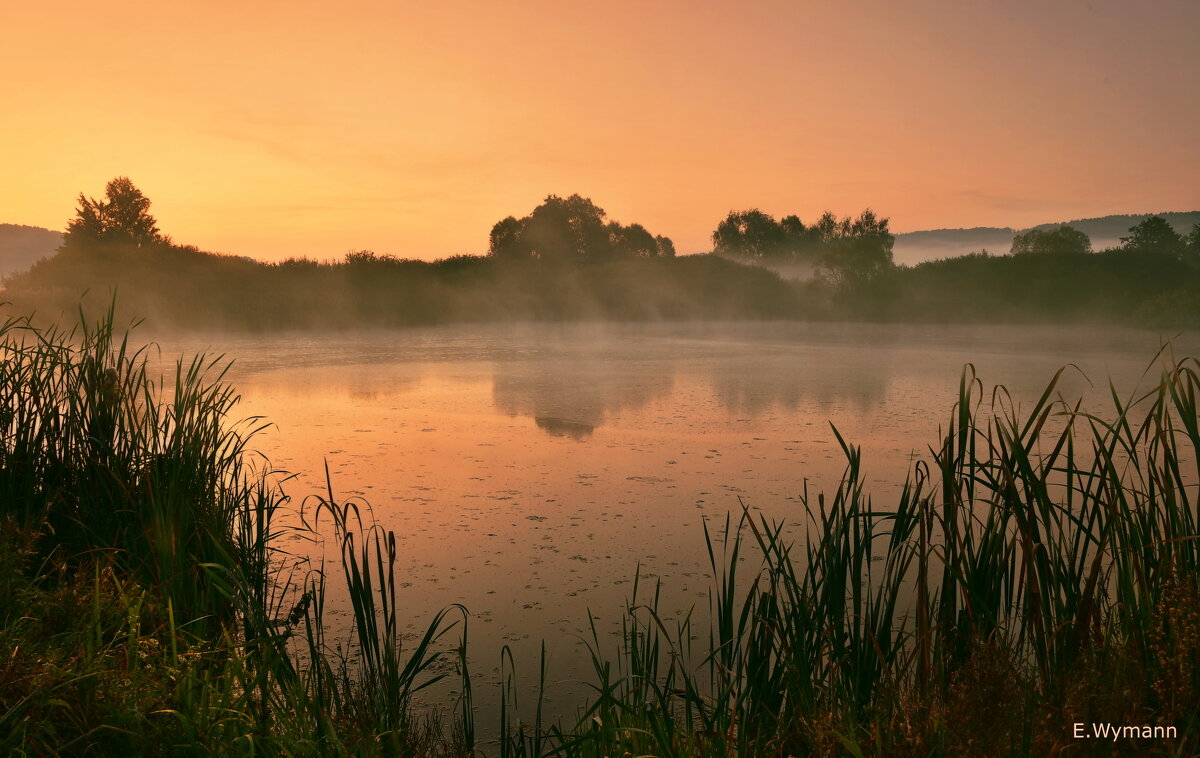 misty morning - Elena Wymann