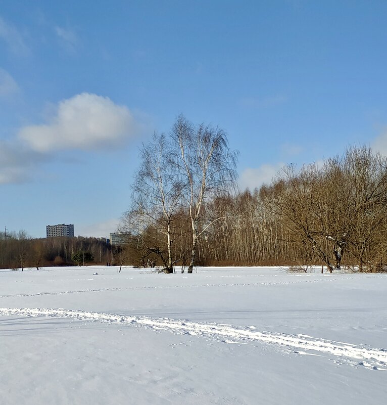 лыжня через поле - Валентина. .