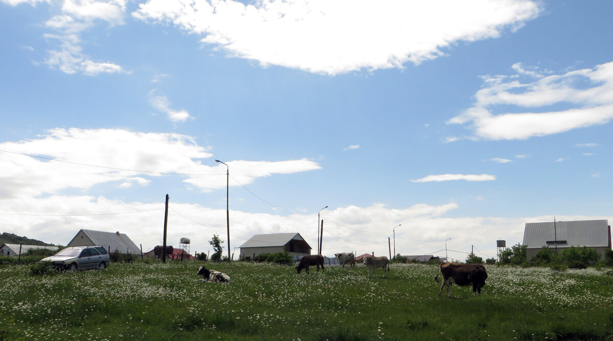 На лугу, на лугу, на лугу пасутся Ко... - Наталья (D.Nat@lia) На лугу, на лугу, на лугу пасутся Ко... - Наталья (D.Nat@lia)