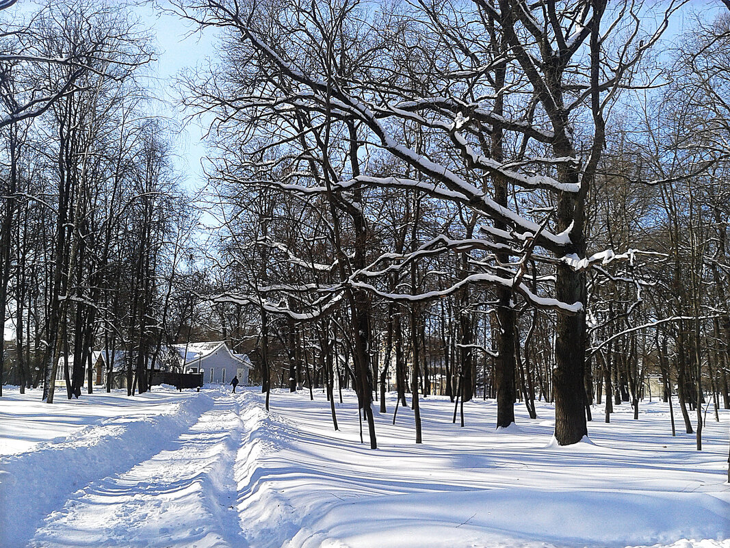 *** - Валентина Береснева