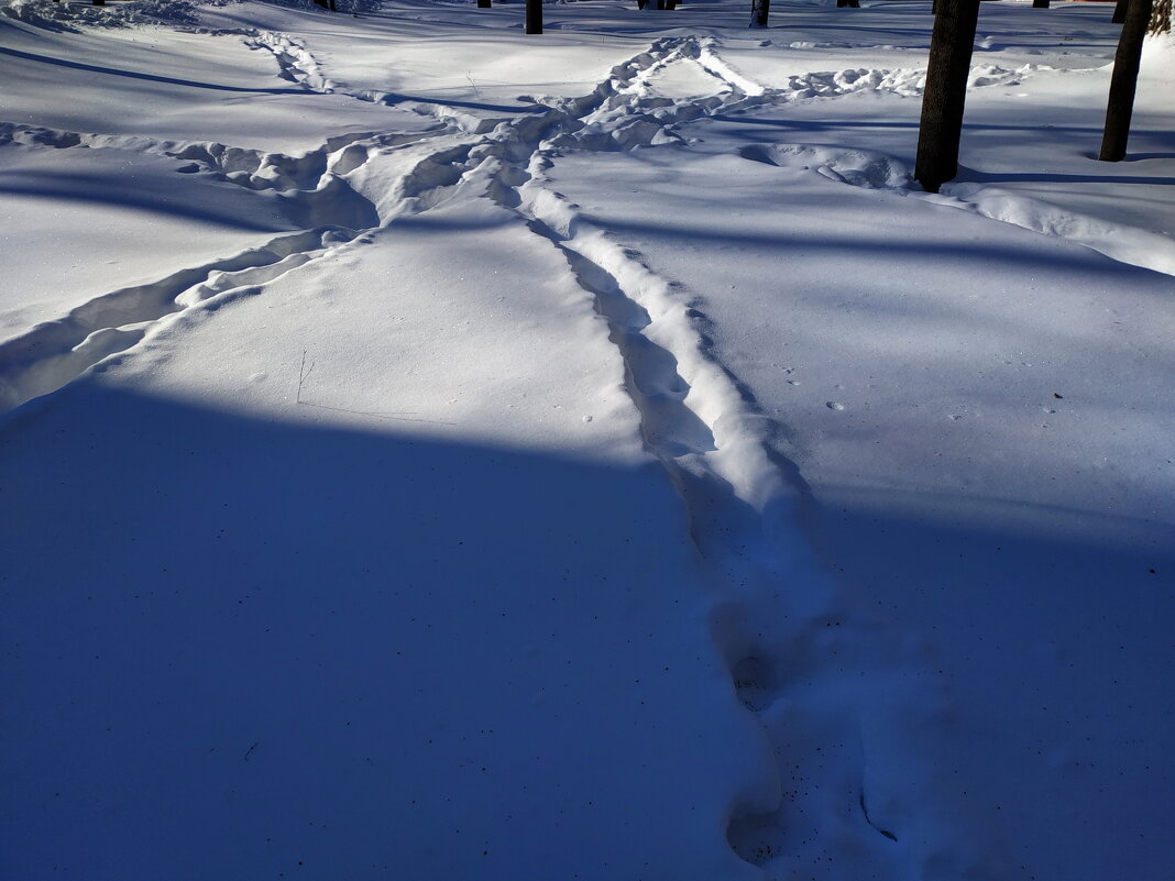 Когда повеет вдруг весною - Андрей Лукьянов Когда повеет вдруг весною - Андрей Лукьянов
