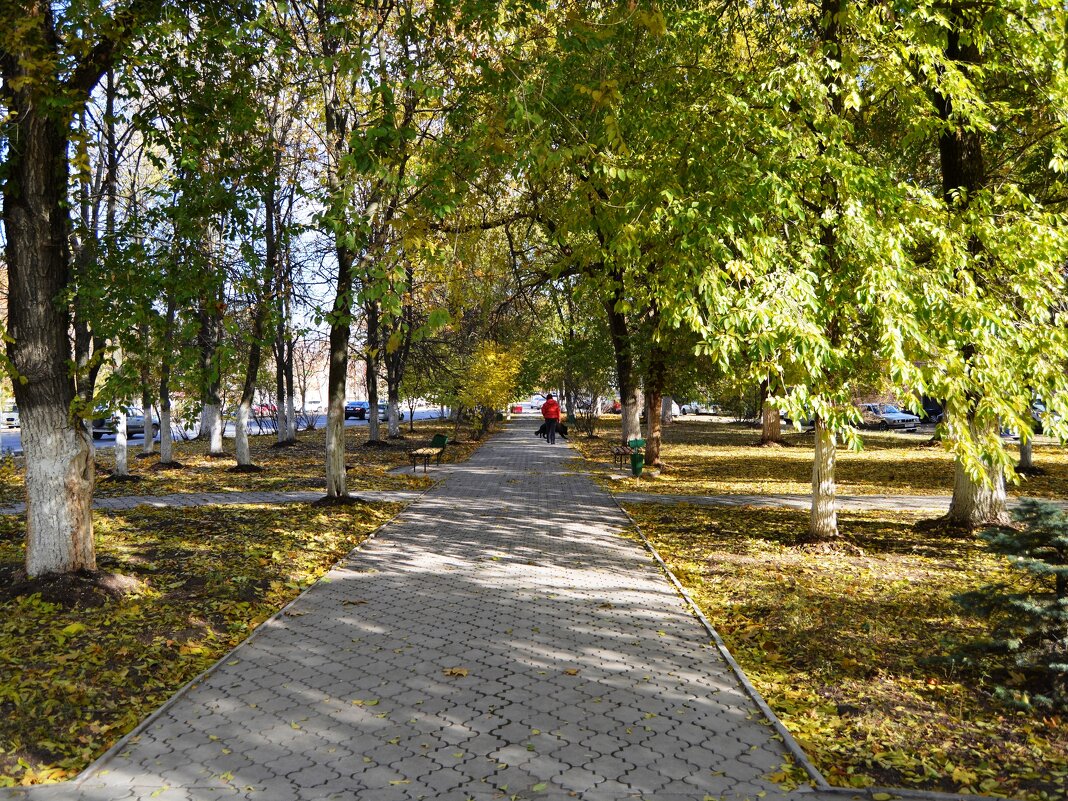 Новочеркасск. Сквер Баклановского проспекта осенью. - Пётр Чернега