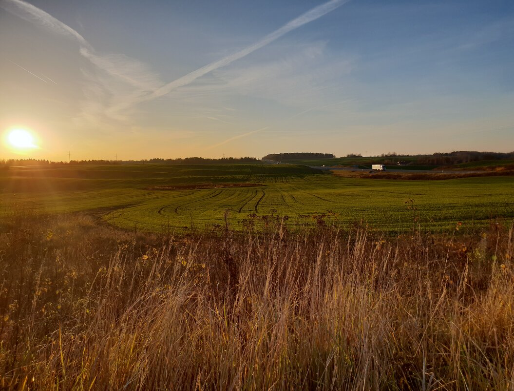 Поле, русское поле... Просторы - Лариса Масалкова Поле, русское поле... Просторы - Лариса Масалкова