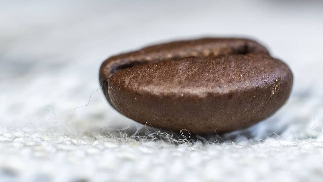 Моя победа. Учусь ловить макро! - Людмила 