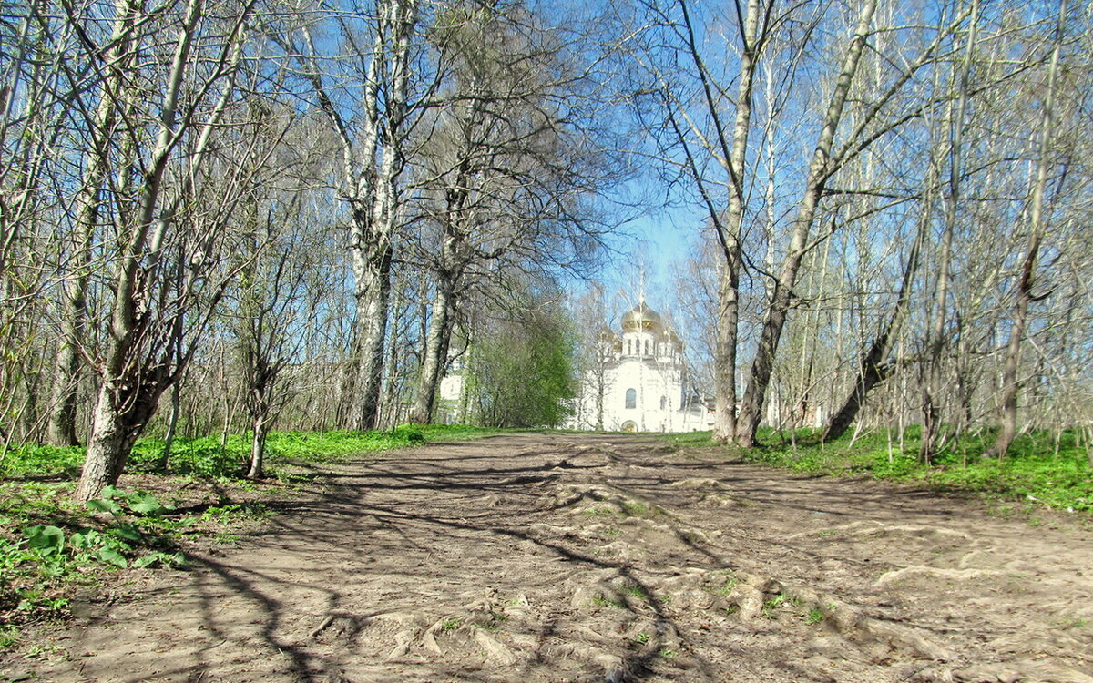 Светлый май - Ольга Елисеева