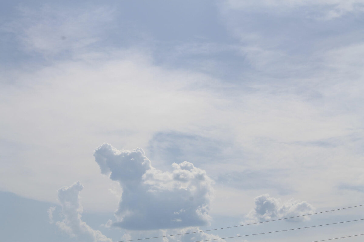 Собачка по небу бежит - Татьяна Перегудова 