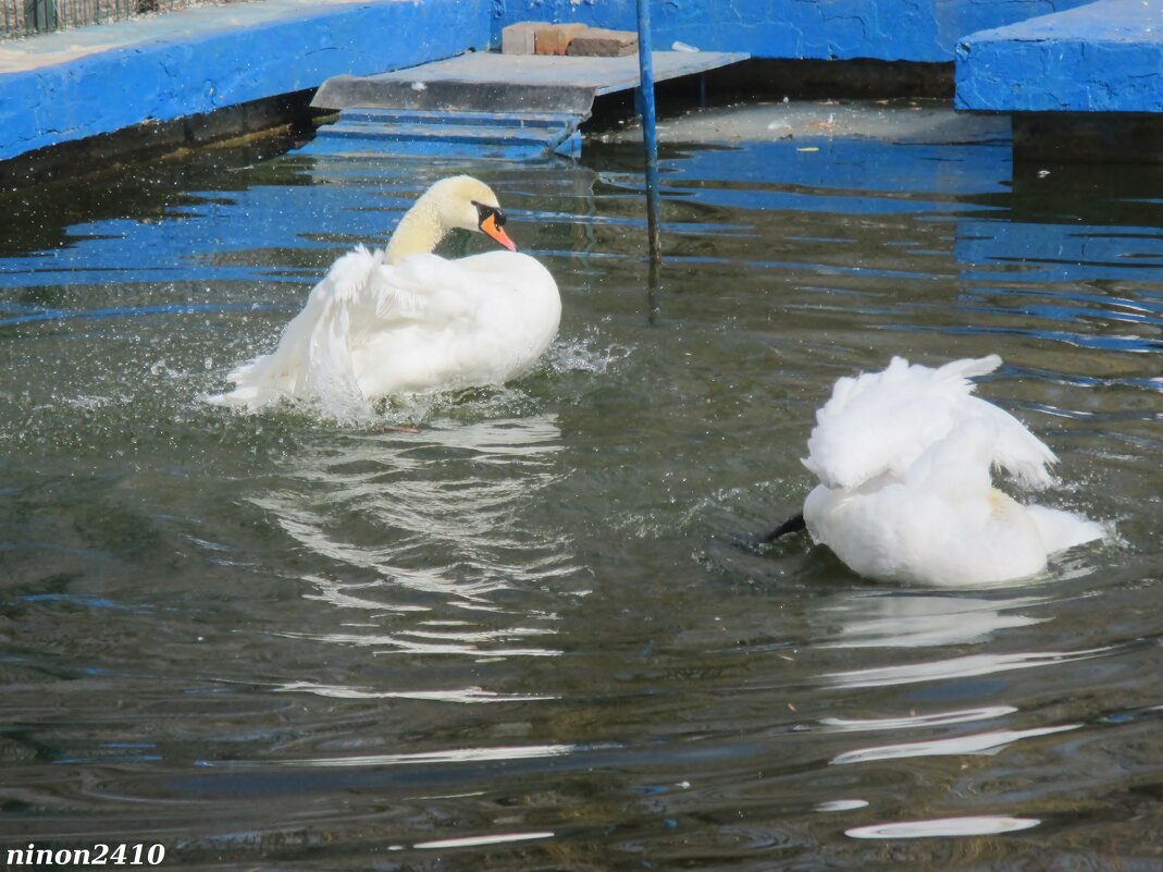 Март... пора встряхнуться! - Нина Бутко Март... пора встряхнуться! - Нина Бутко