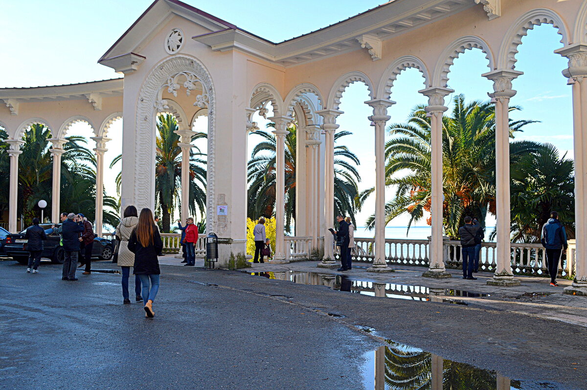 Утро в Гагре - Татьяна Лютаева Утро в Гагре - Татьяна Лютаева