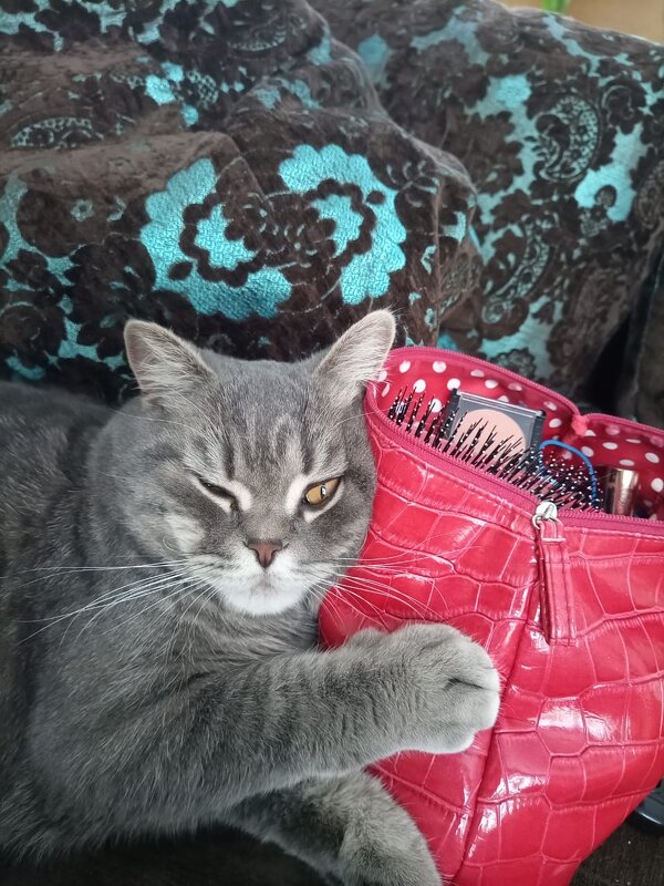 Надёжная охрана . - Мила Бовкун Надёжная охрана . - Мила Бовкун