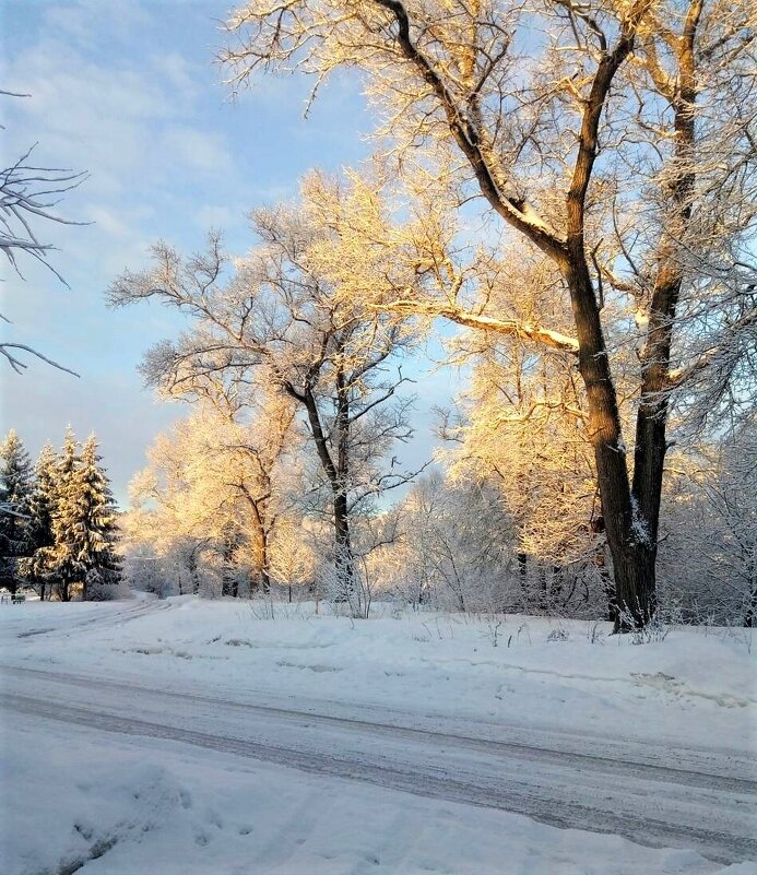 Мороз и солнце - Василий 