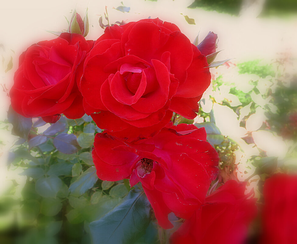 Яркие краски осени. - Валентина Жукова Яркие краски осени. - Валентина Жукова