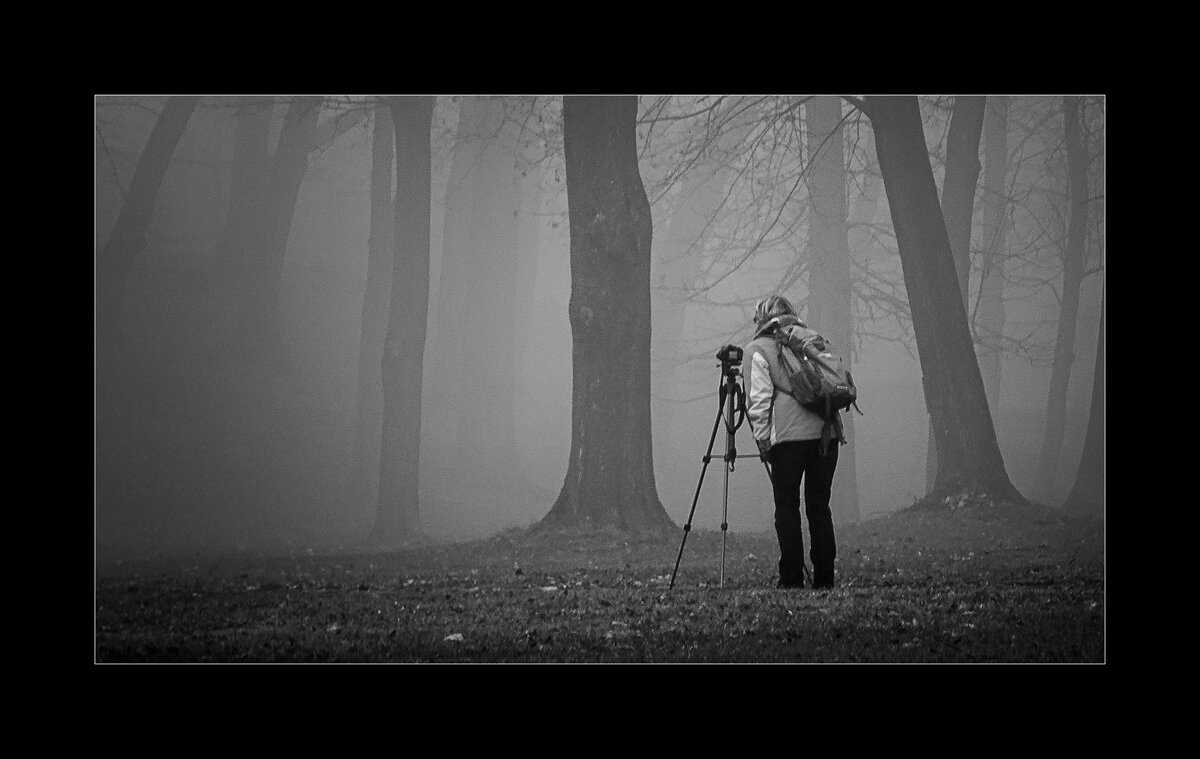 фотограф в тумане - Jiří Valiska