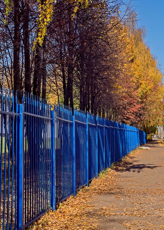Осенняя картинка - gribushko грибушко Николай Осенняя картинка - gribushko грибушко Николай