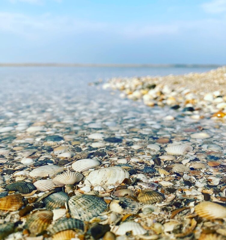 Вода - Анастасия Петряева