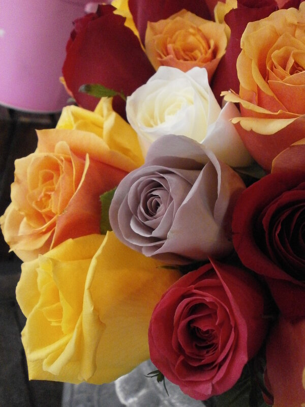 * * * - Алёна Савина