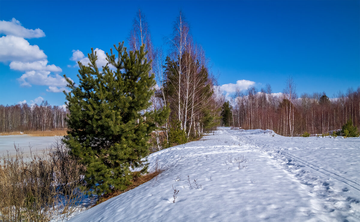 Весна берёт своё # 06 - Андрей Дворников