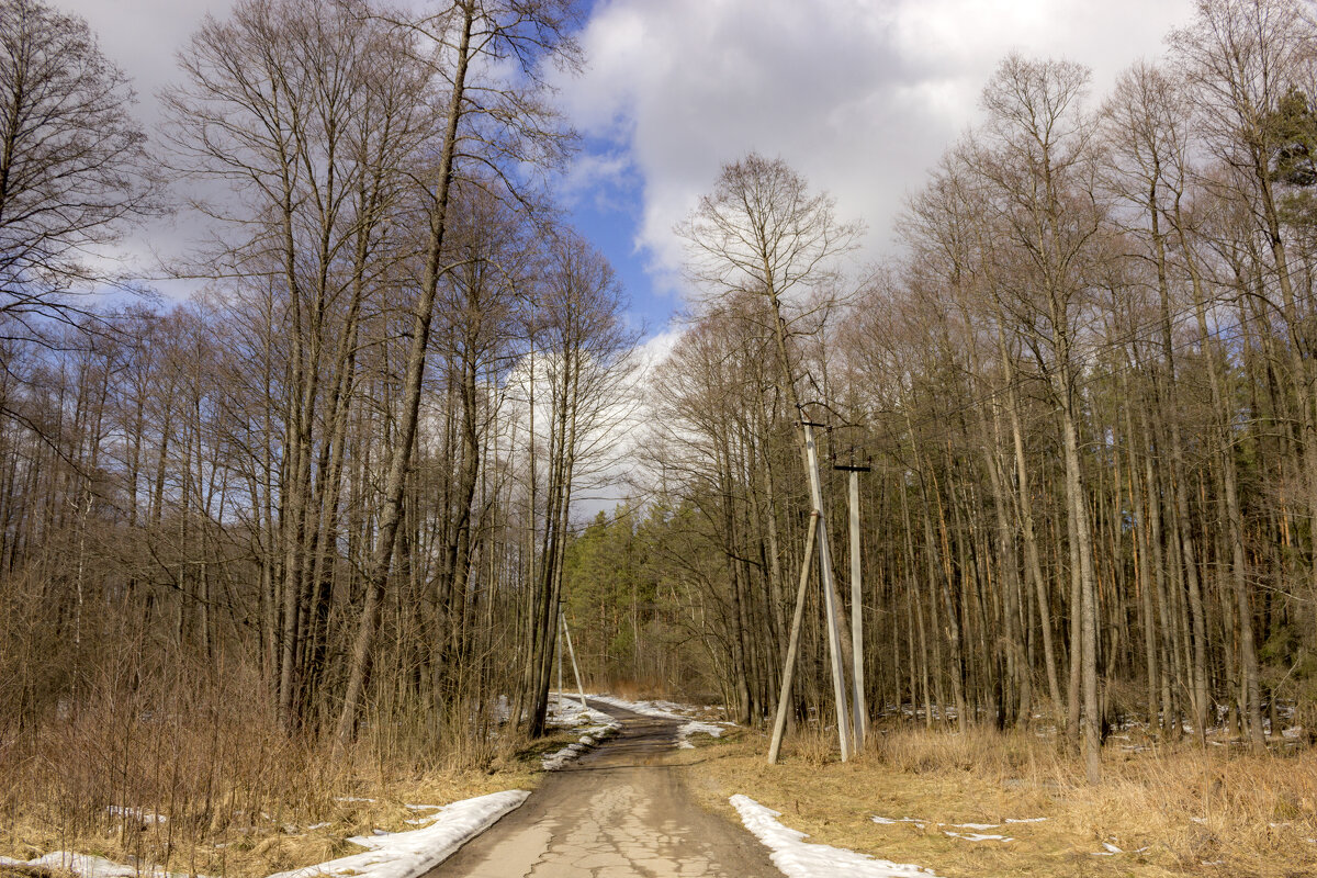Загородными дорогами - оксана Загородными дорогами - оксана