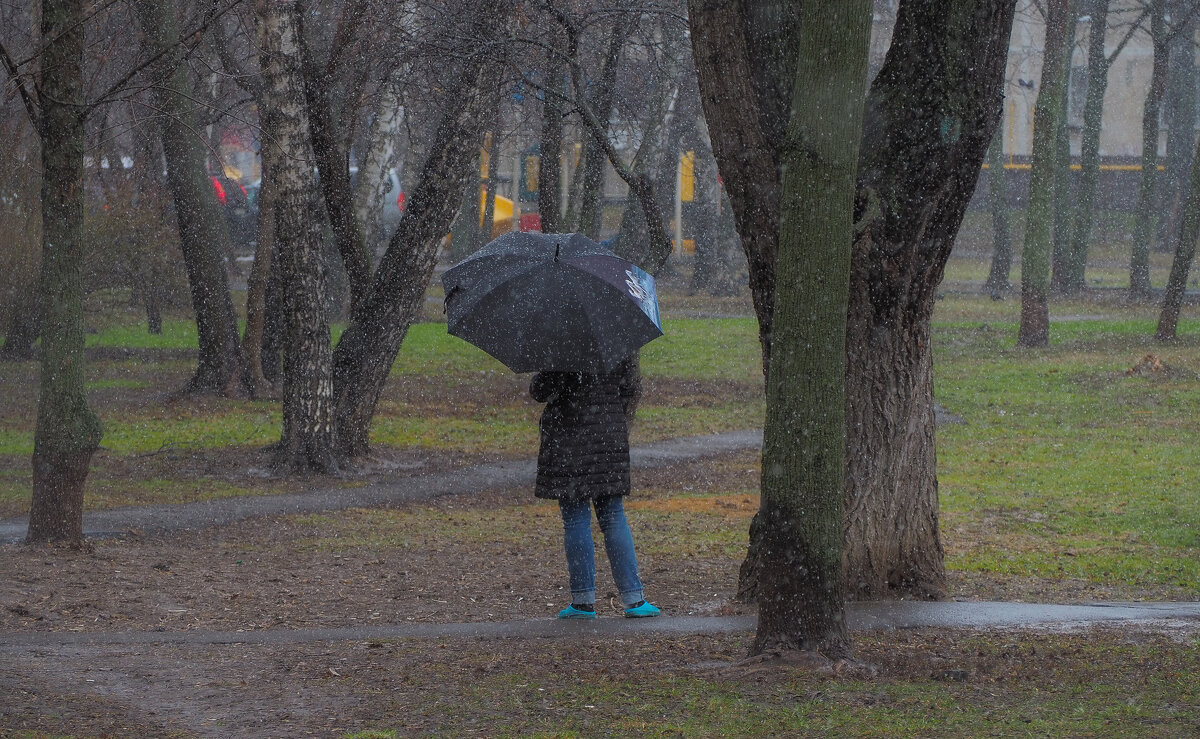 Весна в Москве - юрий поляков