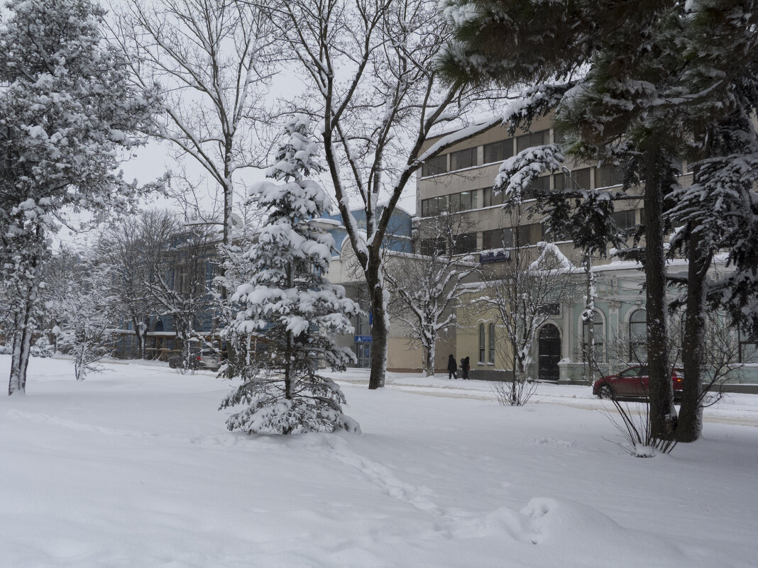Зима, февраль, горсад - Валентин Семчишин Зима, февраль, горсад - Валентин Семчишин