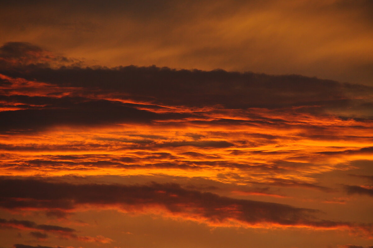 Рассвет в Тыве - Спартак Краснопевцев Рассвет в Тыве - Спартак Краснопевцев