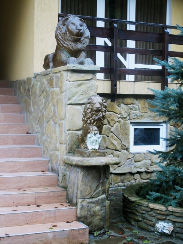 Чвижепсе - Нина Бутко