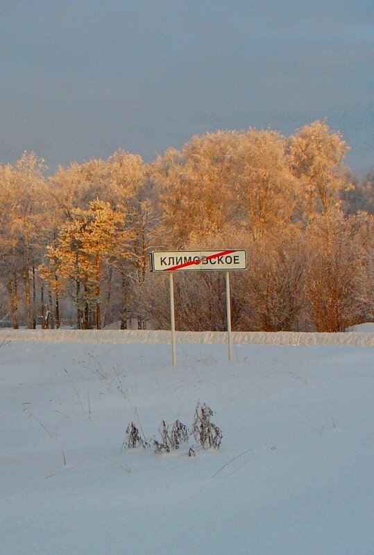 МОЯ ДЕРЕВНЯ, Грачиная роща - 2. - Виктор Осипчук