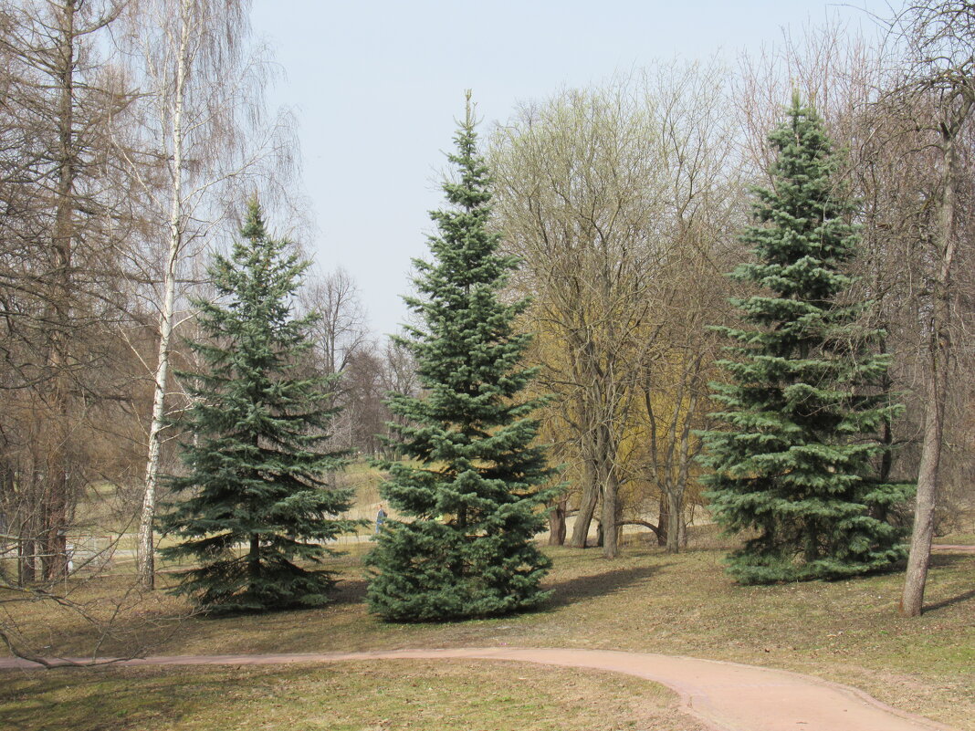 . - <<< Наташа >>>