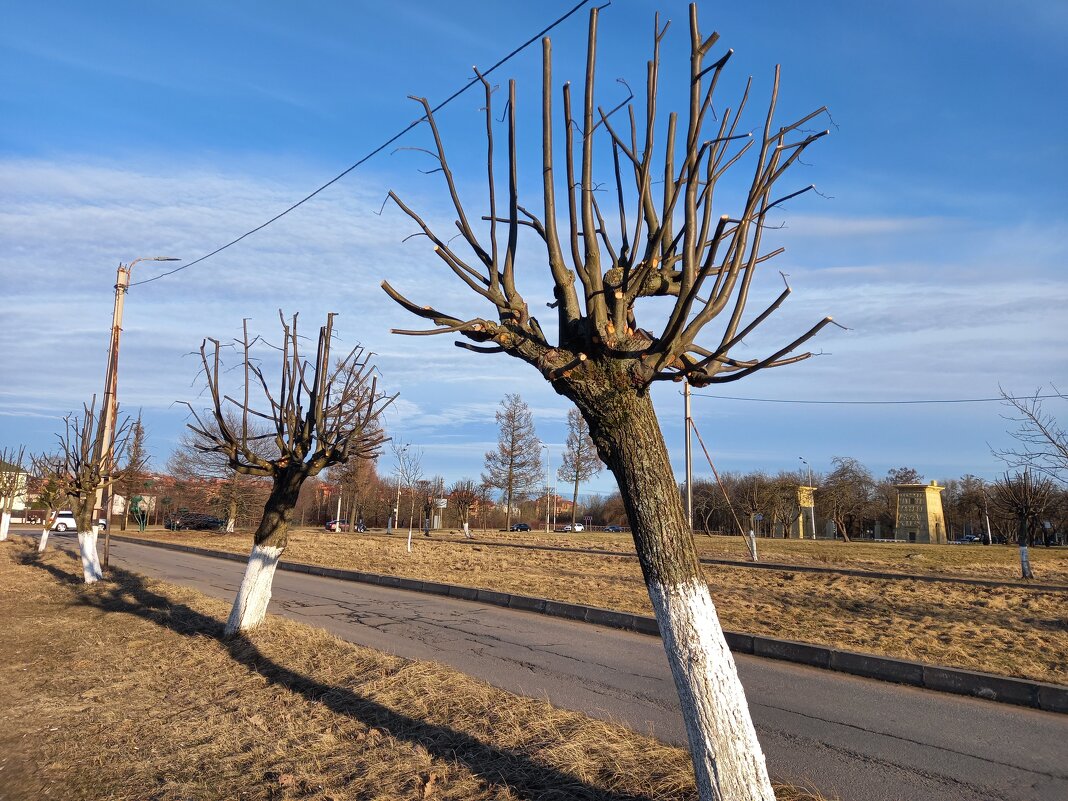 Весна - Сапсан 