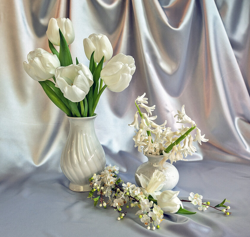 Белый натюрморт - Ольга Дядченко Белый натюрморт - Ольга Дядченко