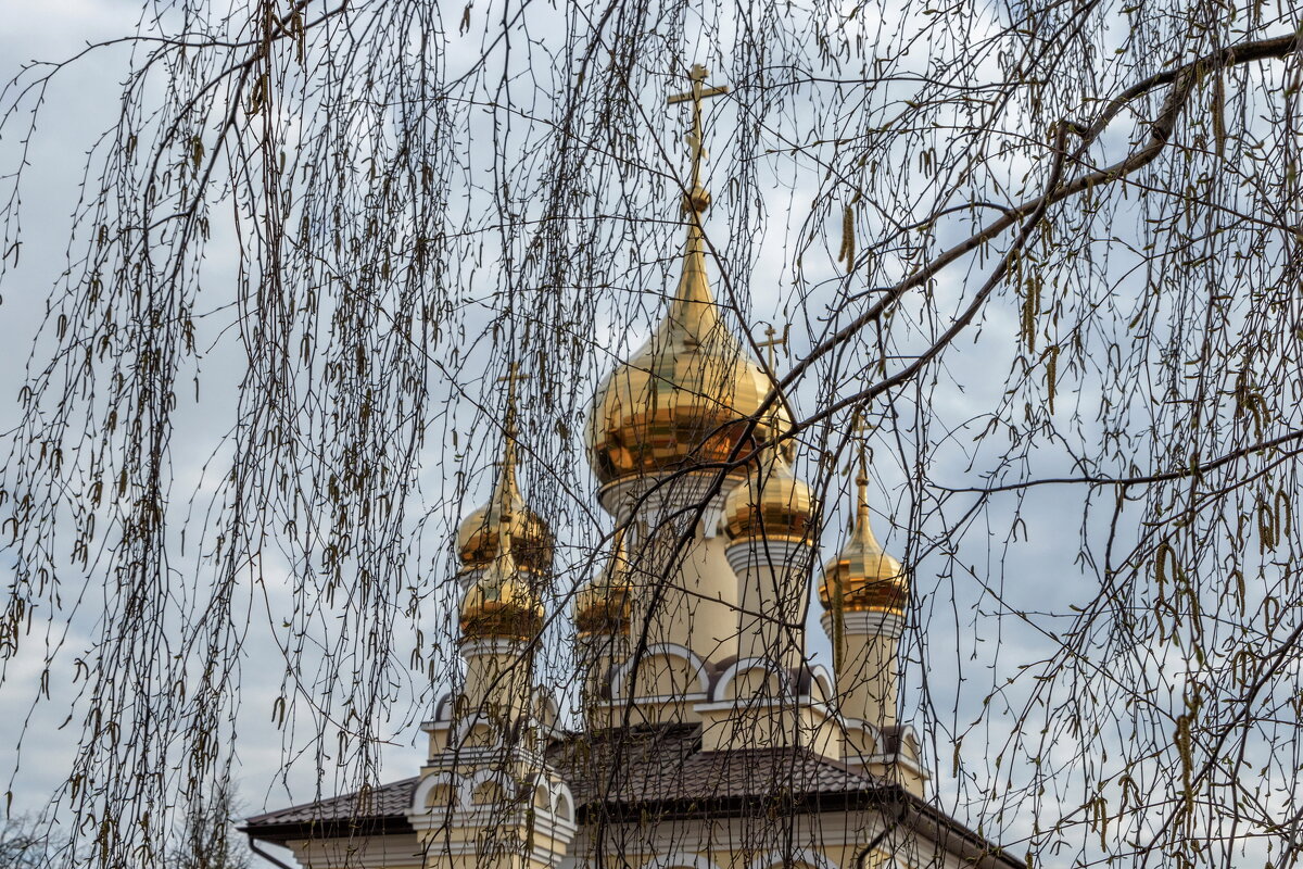 Храм СВ. Пантелеймона за берёзовыми зановесочками. - Анатолий. Chesnavik.