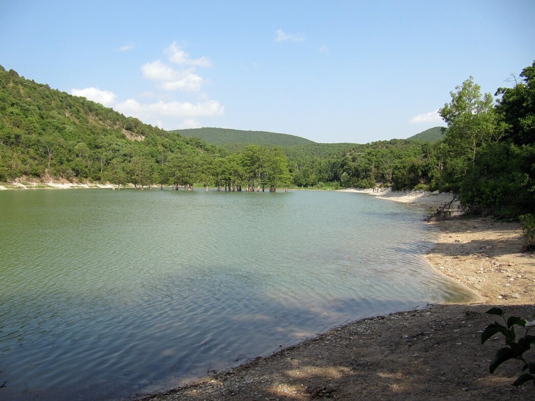 Оз. Сукко с водными кипарисами - Вера Щукина