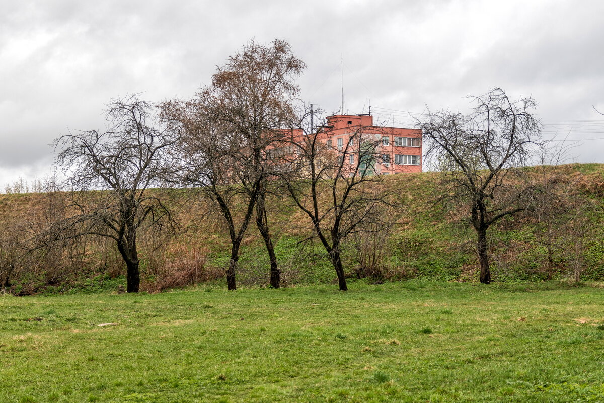 Возвращение зелёного цвета. - Анатолий. Chesnavik. Возвращение зелёного цвета. - Анатолий. Chesnavik.