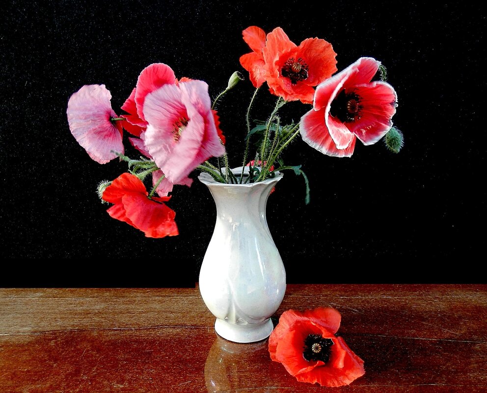 То, без чего прожить не удается. Даётся даром и не продается. - TAMARA КАДАНОВА То, без чего прожить не удается. Даётся даром и не продается. - TAMARA КАДАНОВА