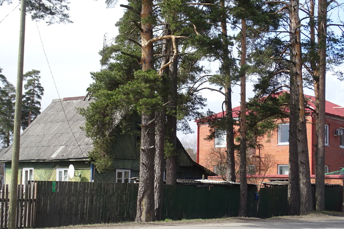 Приозерск Ленинградская область - Anna-Sabina Anna-Sabina Приозерск Ленинградская область - Anna-Sabina Anna-Sabina