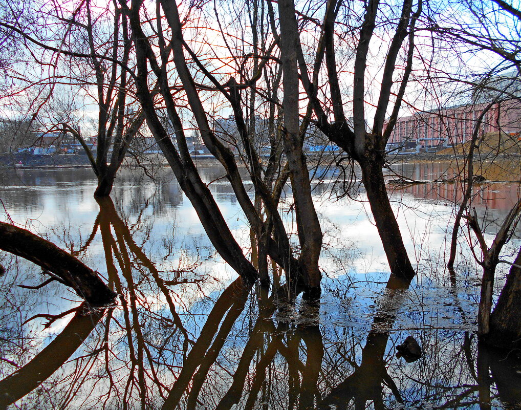Отражение - Игорь Чуев