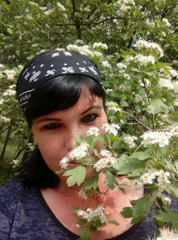 Всё цветет - Юлия Степанова