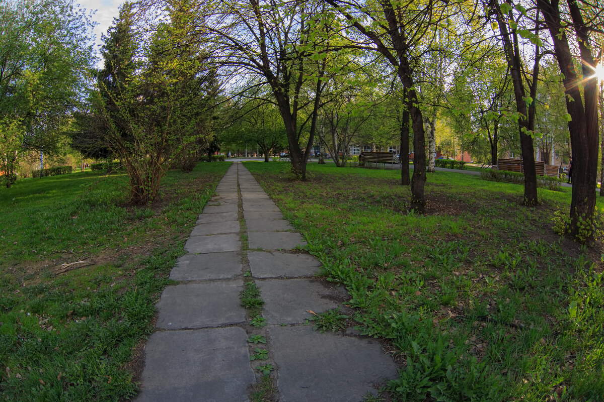 Тропинки Новокузнецка. - Михаил Соколов