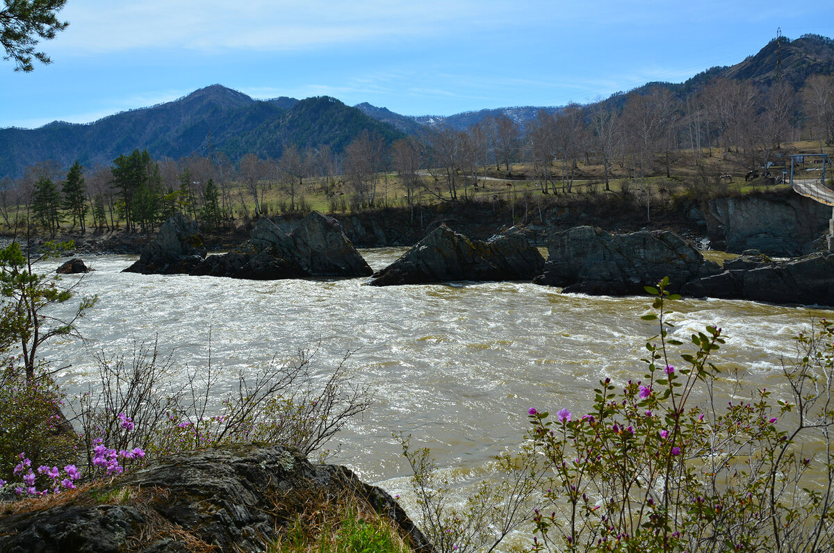 Зубы дракона. - Валерий Медведев