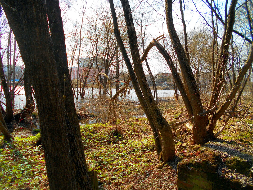 Весеннее настроение. - Игорь Чуев Весеннее настроение. - Игорь Чуев