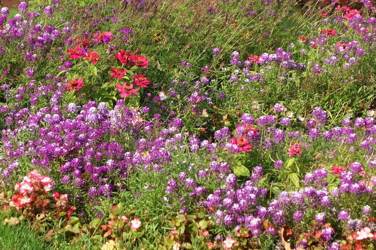 Государственный музей-заповедник «Петергоф» - Маргарита Батырева Государственный музей-заповедник «Петергоф» - Маргарита Батырева