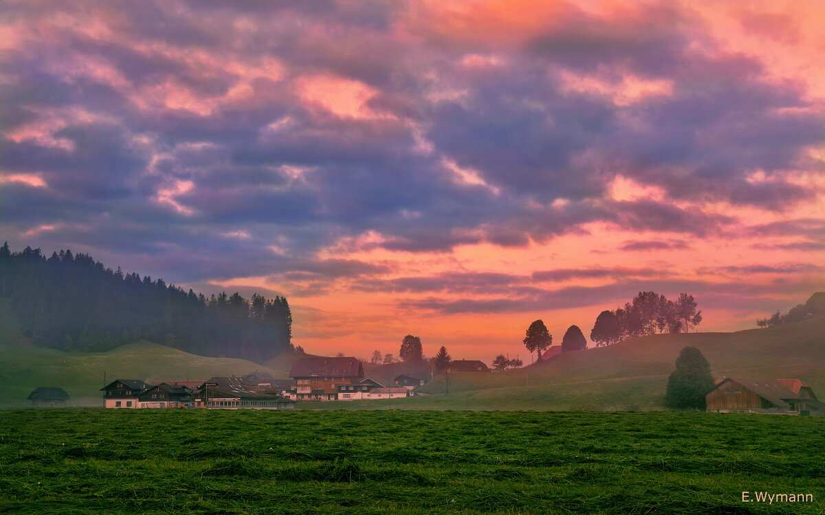 morning - Elena Wymann morning - Elena Wymann